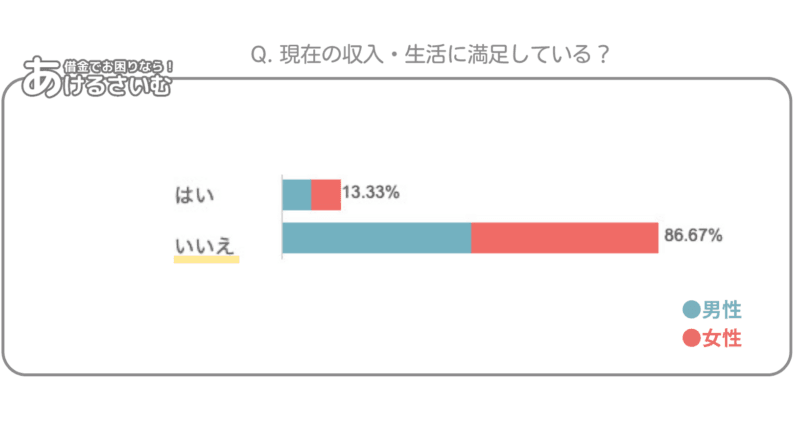 収入に満足していない