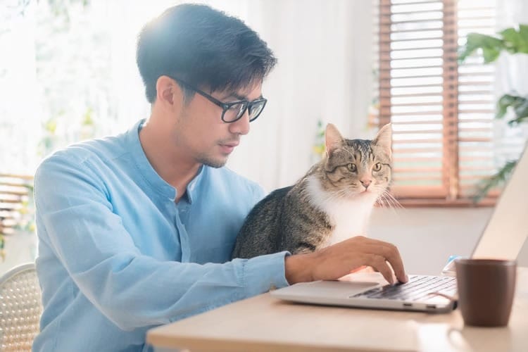 副業・独立開業を目指すなら「デジタル展示会」を活用しよう！